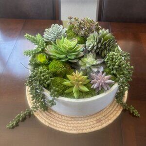 Zen Large Succulent and Moss in Concrete Bowl- Modern Nature Centerpiece